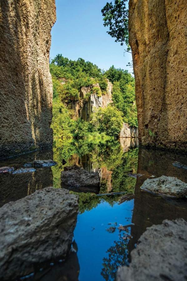 Fortuna Vendeghaz Sárospatak Dış mekan fotoğraf